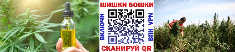 Canna-Cookies конопля  Камызяк 