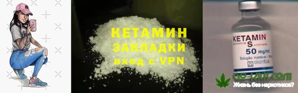 крисы Алексин