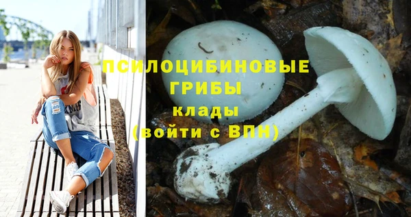 Альфа ПВП Алзамай