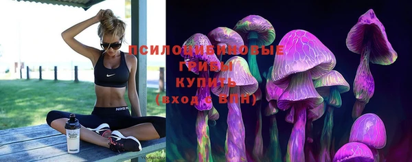 Альфа ПВП Алзамай