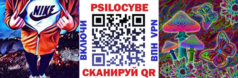 Псилоцибиновые грибы GOLDEN TEACHER  купить наркотик  Камызяк 