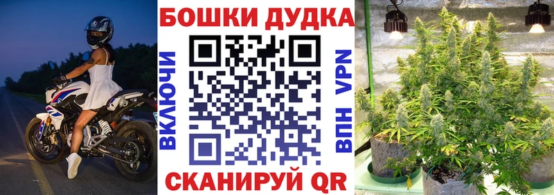 блэк спрут зеркало  Камызяк  Каннабис Ganja 